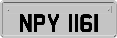 NPY1161