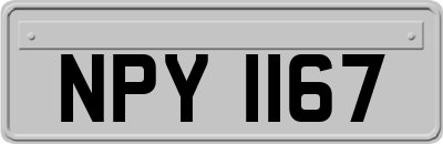 NPY1167