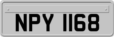 NPY1168