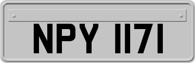NPY1171