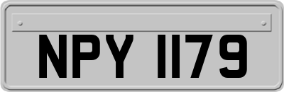 NPY1179