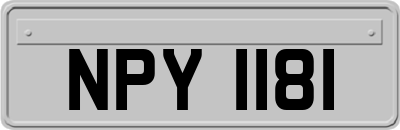 NPY1181