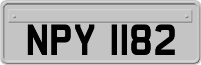 NPY1182