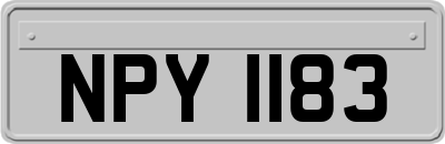 NPY1183