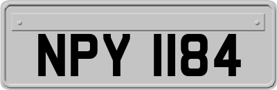 NPY1184