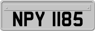 NPY1185