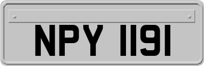 NPY1191