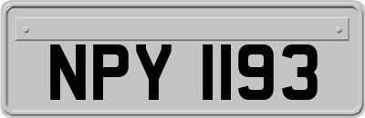 NPY1193