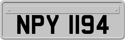 NPY1194