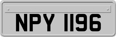 NPY1196