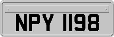 NPY1198
