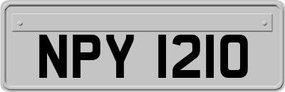 NPY1210