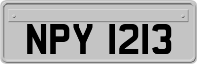 NPY1213