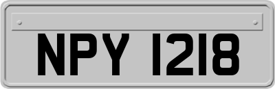 NPY1218