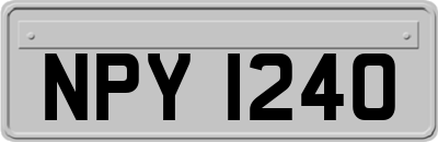 NPY1240