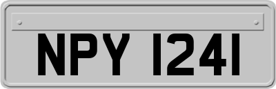 NPY1241