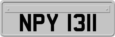 NPY1311