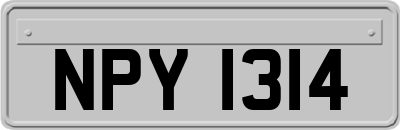 NPY1314