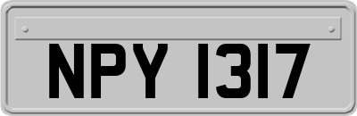 NPY1317