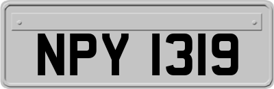 NPY1319