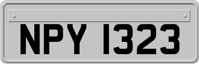 NPY1323
