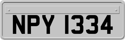 NPY1334