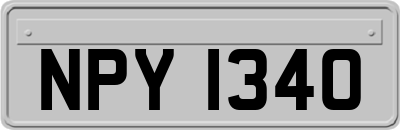 NPY1340
