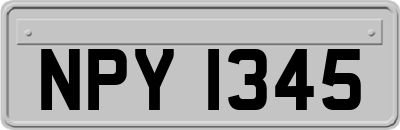 NPY1345