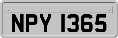 NPY1365