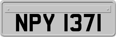 NPY1371