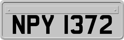 NPY1372