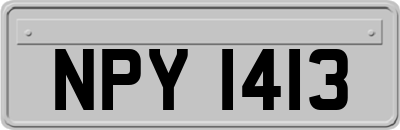 NPY1413