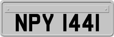 NPY1441