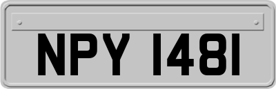 NPY1481