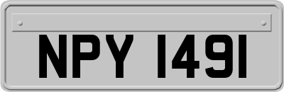 NPY1491