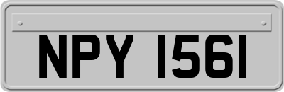 NPY1561