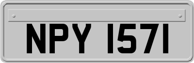 NPY1571