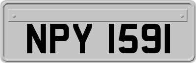 NPY1591