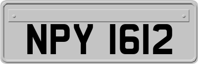 NPY1612