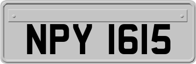 NPY1615
