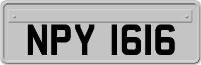 NPY1616