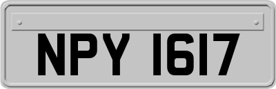 NPY1617