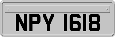 NPY1618