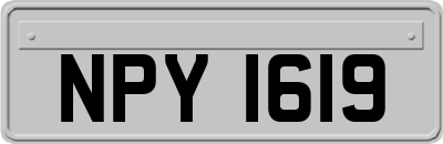NPY1619