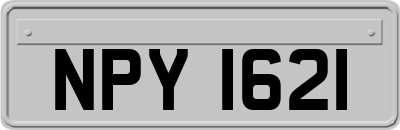 NPY1621