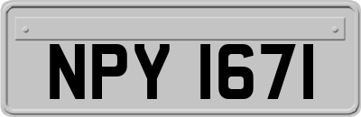 NPY1671