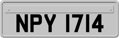 NPY1714