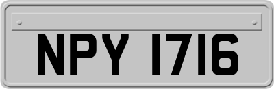 NPY1716
