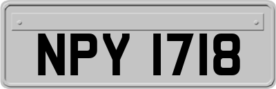 NPY1718