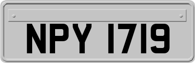 NPY1719